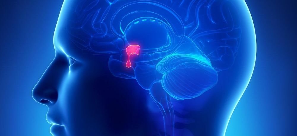 Аденома гипофиза, Аденома гіпофіза