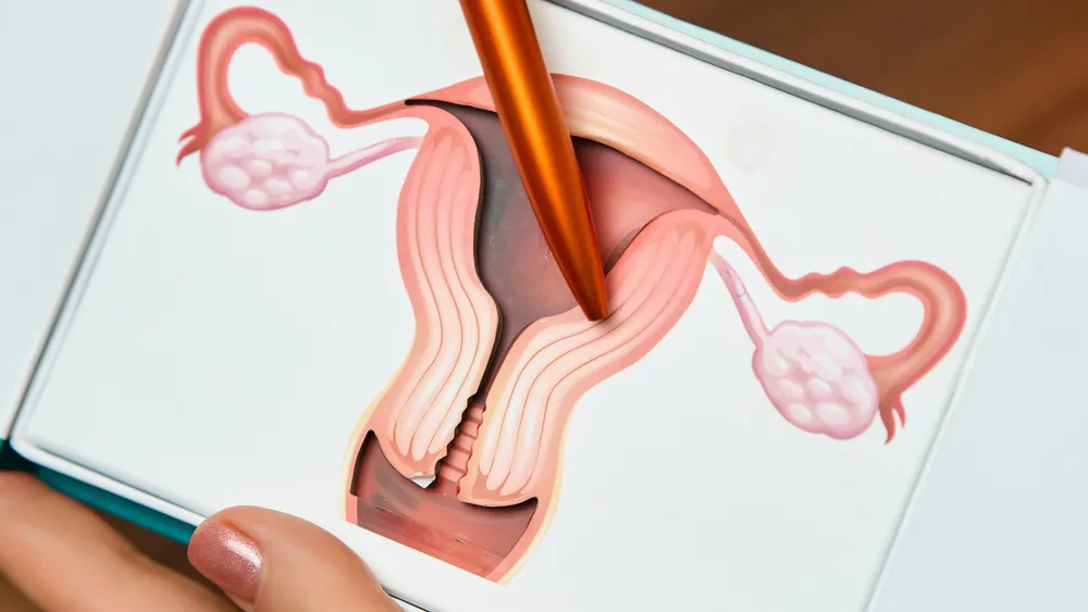 гинекология, гінекологія