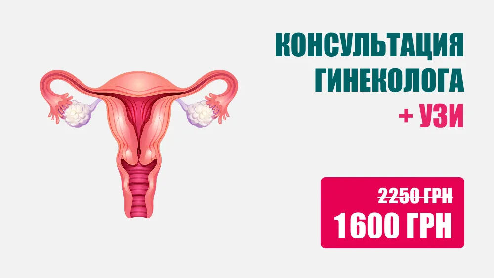 Консультация гинеколога + УЗИ