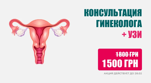 Консультация гинеколога + УЗИ