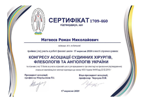matveyev-s17