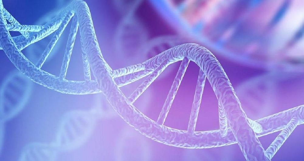 гены BRCA1 и BRCA2