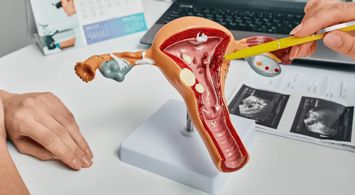 Толщина эндометрия, Товщина ендометрію