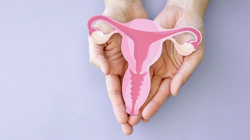 Женские воспалительные заболевания, Жіночі запальні захворювання